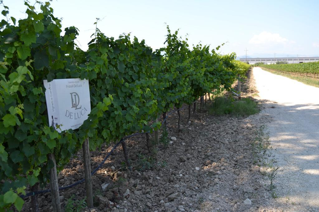 Agriturismo De Luca Mozzagrogna Екстериор снимка
