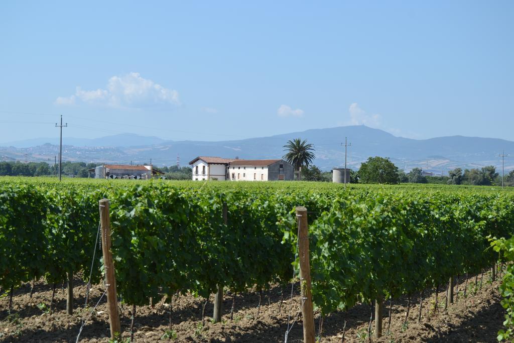 Agriturismo De Luca Mozzagrogna Екстериор снимка